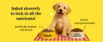 Advance Adult Dry Cat Food Salmon - Image 2