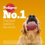 Pedigree Chicken and Vegetables Adult Dog Dry Food - Image 15
