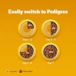 Pedigree Chicken and Vegetables Adult Dog Dry Food - Image 9