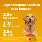 Pedigree Chicken and Vegetables Adult Dog Dry Food - Image 6