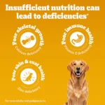 Pedigree Chicken and Vegetables Adult Dog Dry Food - Image 4