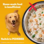 Pedigree Chicken and Vegetables Adult Dog Dry Food - Image 3