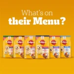 Pedigree Chicken and Vegetables Adult Dog Dry Food - Image 2