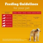 Pedigree Vegetarian Puppy & Adult Dry Food - Image 8