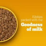 Pedigree Vegetarian Puppy & Adult Dry Food - Image 4