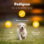 Pedigree Vegetarian Puppy & Adult Dry Food - Image 11