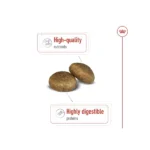 Royal Canin Maxi Adult Dog Dry Food - Image 5