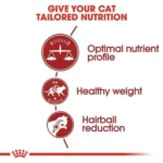 Royal Canin Fit 32 Regular for Adult Cat Dry Food - Image 2