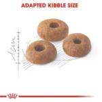 Royal Canin Fit 32 Regular for Adult Cat Dry Food - Image 3