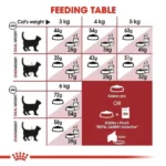 Royal Canin Fit 32 Regular for Adult Cat Dry Food - Image 4