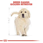 Royal Canin Golden Retriever Puppy Dog Dry Food - Image 2