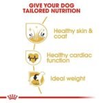 Royal Canin Golden Retriever Adult Dog Dry Food - Image 3
