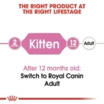 Royal Canin Kitten Cat Dry Food - Image 3