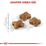 Royal Canin Kitten Cat Dry Food - Image 4