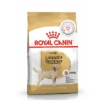 Royal Canin Labrador Retriever Adult Dog Dry Food - Image 3