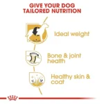 Royal Canin Labrador Retriever Adult Dog Dry Food - Image 5