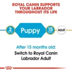 Royal Canin Labrador Retriever Puppy Dog Dry Food - Image 5