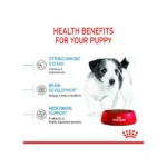 Royal Canin Mini Puppy Dog Dry Food - Image 4