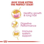 Royal Canin Persian Kitten Food Dry Cat Food - Image 6