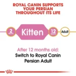 Royal Canin Persian Kitten Food Dry Cat Food - Image 4
