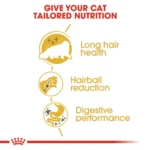 Royal Canin Persian Adult Cat Dry Food - Image 4