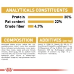 Royal Canin Persian Adult Cat Dry Food - Image 3