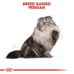 Royal Canin Persian Adult Cat Dry Food - Image 2