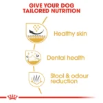 Royal Canin Shih Tzu Adult Dog Dry Food - Image 7