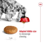 Royal Canin Medium Adult Dog Dry Food - Image 2