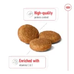 Royal Canin Medium Adult Dog Dry Food - Image 3