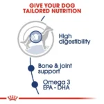Royal Canin Maxi Adult Dog Wet Food - Image 4