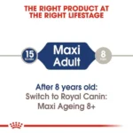 Royal Canin Maxi Adult Dog Wet Food - Image 5