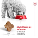 Royal Canin Mini Adult Dog Dry Food - Image 2