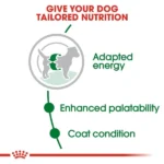 Royal Canin Mini Adult Dog Dry Food - Image 3