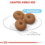 Royal Canin Maxi Starter, Mother & Babydog Dry Food - Image 2