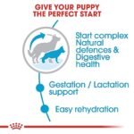 Royal Canin Maxi Starter, Mother & Babydog Dry Food - Image 3