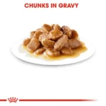 Royal Canin Maxi Adult Dog Wet Food - Image 7
