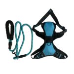 DK Body Harness (Blue)