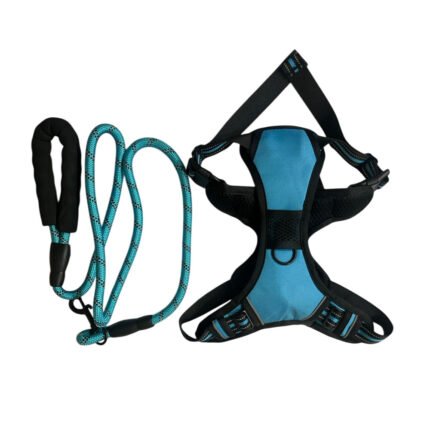DK Body Harness (Blue)