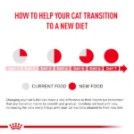Royal Canin Veterinary Diet Renal Tuna Adult Cat Wet Food - Image 4