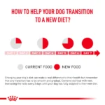 Royal Canin Veterinary Diet Skintopic Dog Dry Food - Image 5