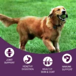 Bowlers Nutrimax Chicken and Vegetables Adult Dog Dry Food - Image 2