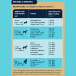 Bowlers Nutrimax Chicken and Vegetables Adult Dog Dry Food - Image 4