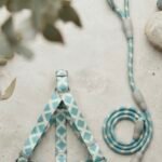 DIAMOND LUXE HARNESS & LEASH SET (GREEN DK-22)
