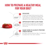 ROYAL CANIN VETERINARY DIET GASTROINTESTINAL LOW FAT DOG DRY FOOD - Image 4