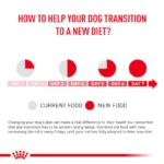 ROYAL CANIN VETERINARY GASTROINTESTINAL LOW FAT DOG WET FOOD - 420 G - Image 7