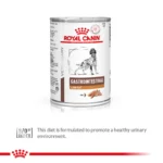 ROYAL CANIN VETERINARY GASTROINTESTINAL LOW FAT DOG WET FOOD - 420 G