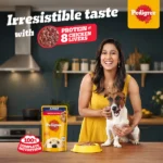 Pedigree Chicken and Liver Chunks in Gravy Adult Dog Wet Food (130g) - Image 6
