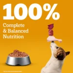 Pedigree Chicken and Liver Chunks in Gravy Adult Dog Wet Food (130g) - Image 8