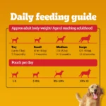 Pedigree Chicken and Liver Chunks in Gravy Adult Dog Wet Food (130g) - Image 11